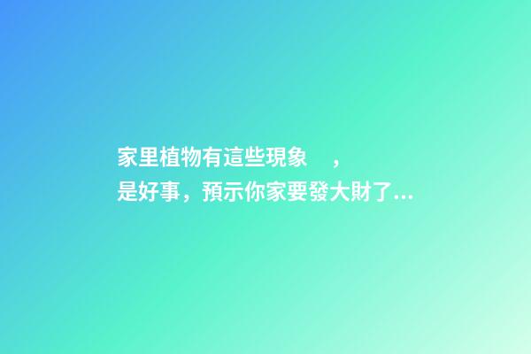 家里植物有這些現象，是好事，預示你家要發大財了！